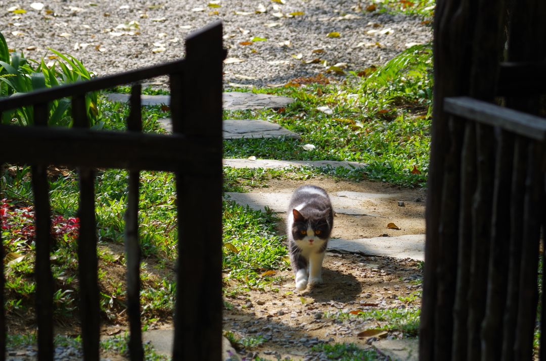 catwalk